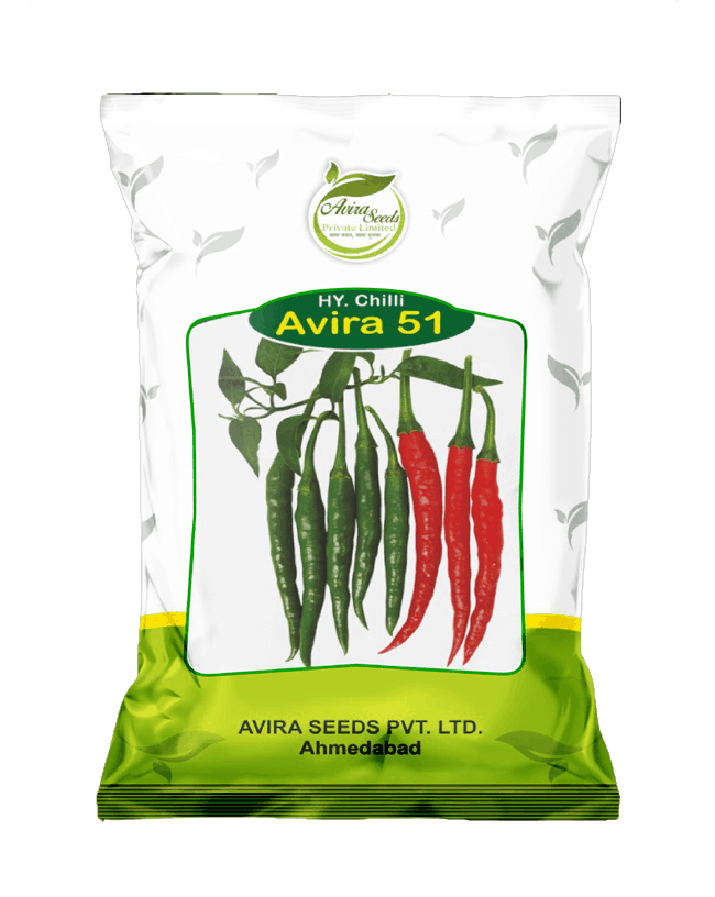 चिली-511 चिली-511