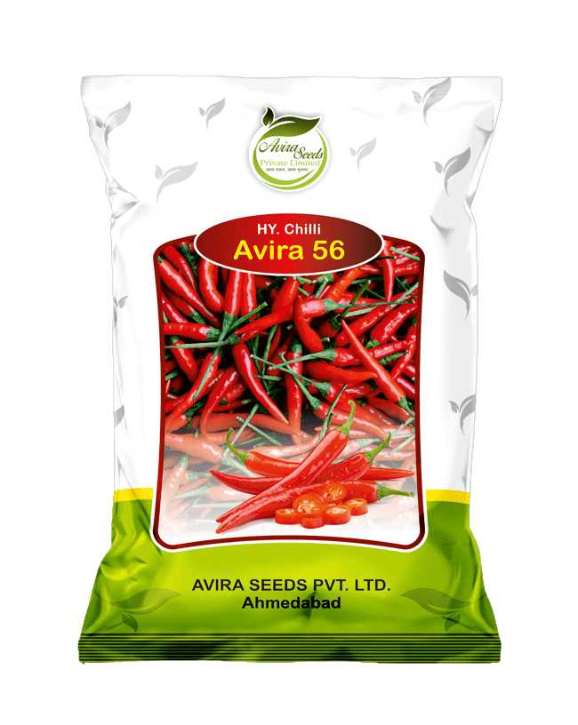 अविरा-56 अविरा-56