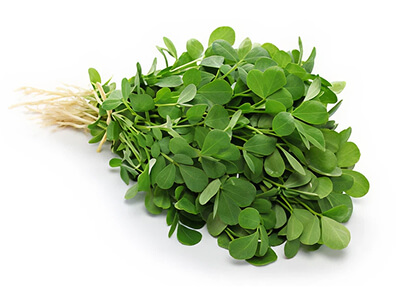 FENUGREEK