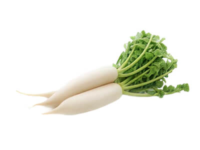 RADISH