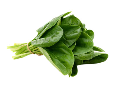 spinach-thumb