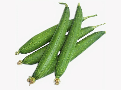 HY. SPONGE GOURD 