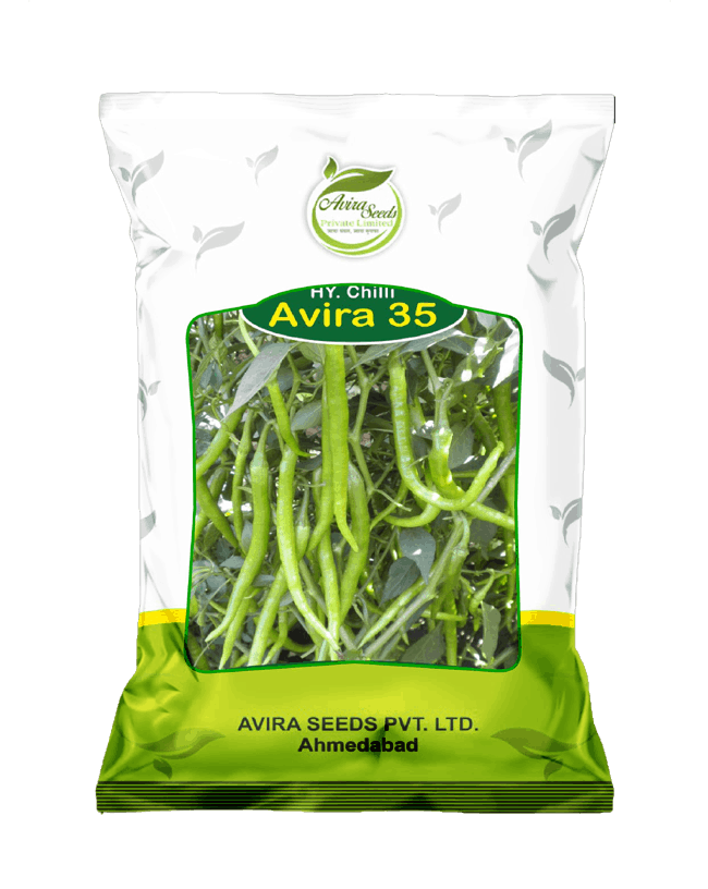 चिली-35-1 चिली-35-1