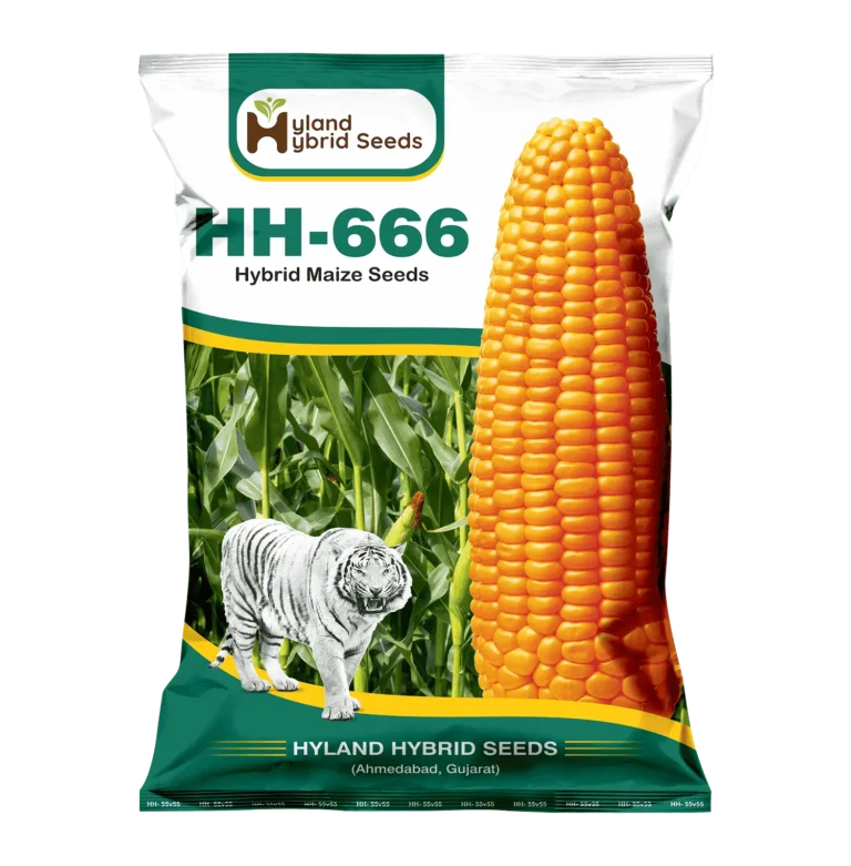 HH-666 हाइब्रिड मक्का बीज