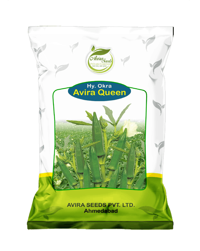 भिंडी क्वीन 1 (1)