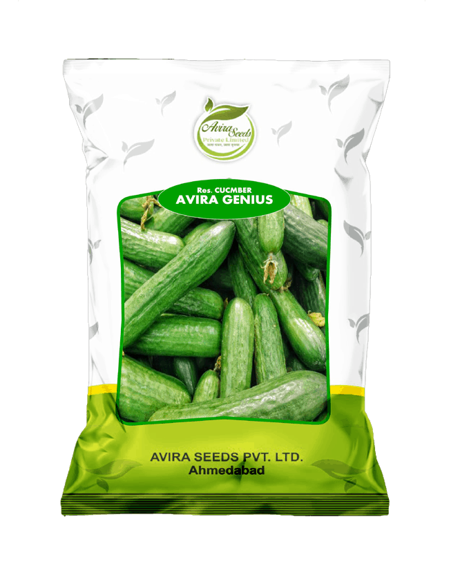 अविरा जीनियस