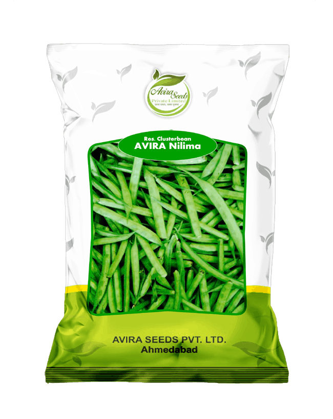 अविरा नीलिमा