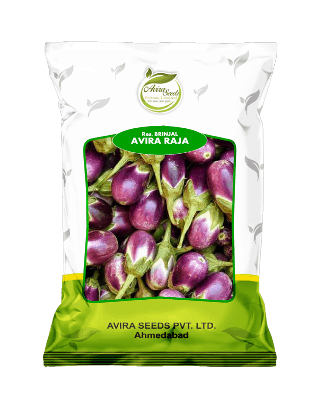 अविरा राजा