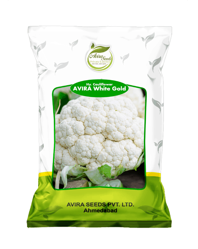अविरा व्हाइट गोल्ड